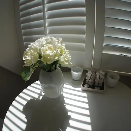 Gæstehus On The Roof