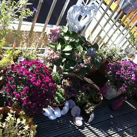 Gæstehus On The Roof