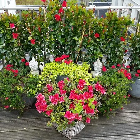 On The Roof Amsterdam