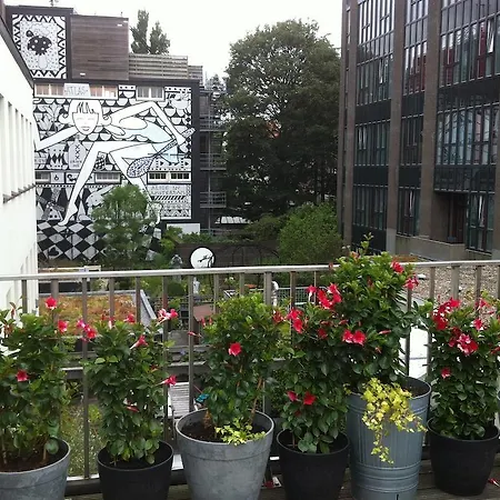 בית הארחה On The Roof