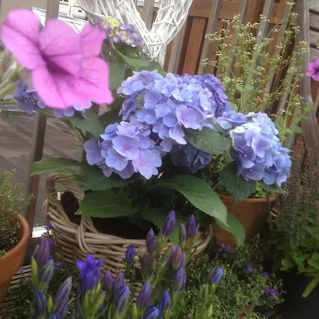 Maison d'hôtes Prince On The Roof Amsterdam