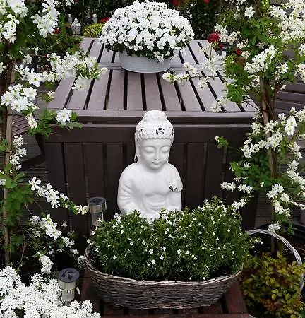 ゲストハウス On The Roof 4*