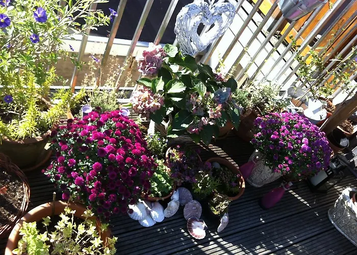 Gasthuis On The Roof