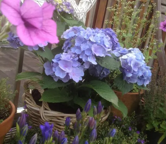 Gasthuis On The Roof Amsterdam