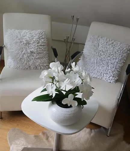 Gasthuis On The Roof 4*